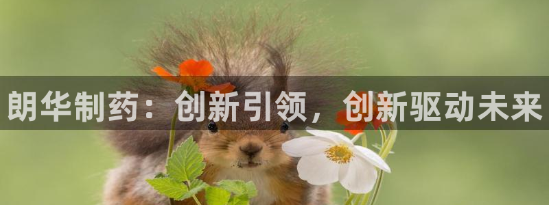 九游会老哥俱乐部交流社区:朗华制药:创新引领,创新驱动未来
